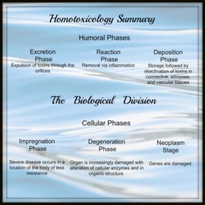 homotoxicology2