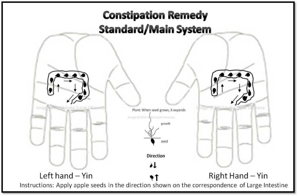 constiptation-main-system-apple-seeds