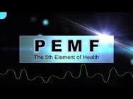 PEMF1